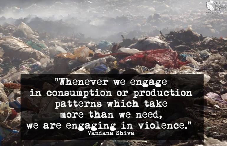 consumption&violenceVandanaShiva