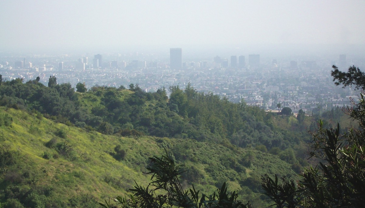 2005 LA skyline from Griffith Park