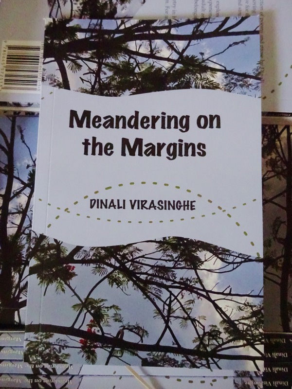 Copies of Meandering on the Margin in box