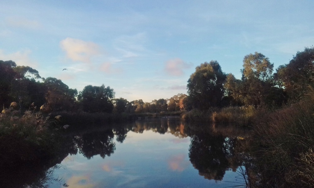 River Torrens at dusk
